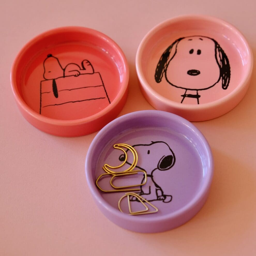 vide poche avec des dessins de snoopy