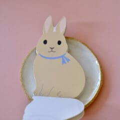 Bloc Notes Rabbit