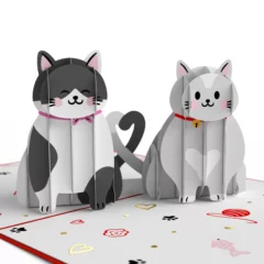 Carte 3D You're Purrfect