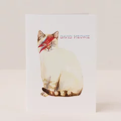 Carte de Voeux David Meowie