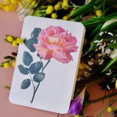 Carte de Voeux Rose Rose Crème