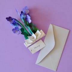 Mini Carte Pop-up Violettes