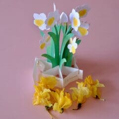 Carte Pop Up Jonquilles