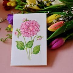 Carte Voeux Relief Dahlia Rose