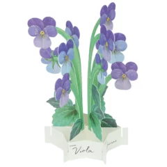 Mini Carte Pop-up Violettes