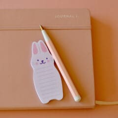Sticky Notes Lapin