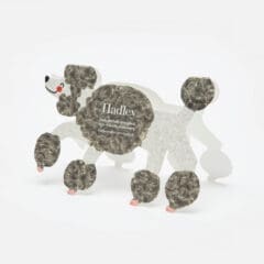 Carte Anniversaire - The Poodle