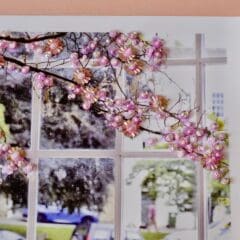 Photographies Brodées - Sakura Oldies
