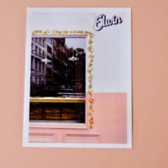 Photographies Brodées - Elwin