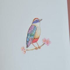 Carte Voeux Relief Oiseau sur la Branche