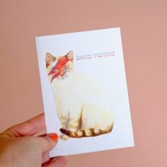 Carte de Voeux David Meowie