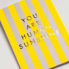 Carte You Are Human Sunshine