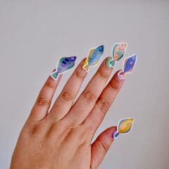 Gommettes Poissons Don Fisher