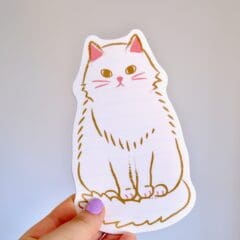 Set de Correspondance Chat Blanc