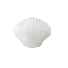 Squishy Coquillage à la Perle