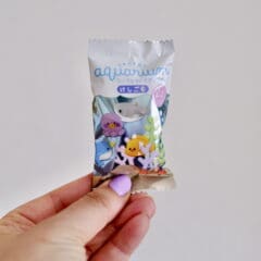 Gommes Secret Aquarium