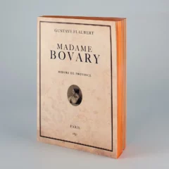 Carnet-Livre Madame Bovary