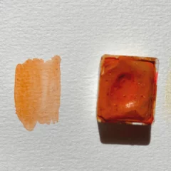 Aquarelle La Nouvelle Vague - Mango