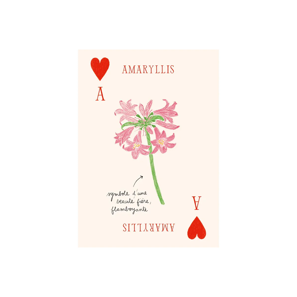 Jeu de 52 cartes – Les Fleurs – Zoé de las Cases