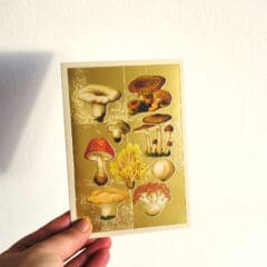 Carte Gold Fungi