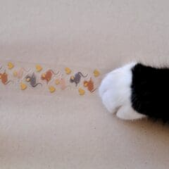 Stickers Mini Mousy