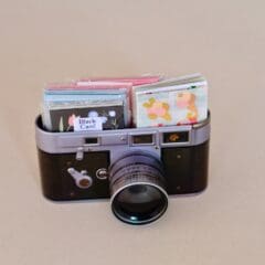 Boîte Métallique Appareil Photo Vintage