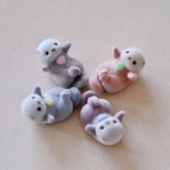 Loutre Coquillage