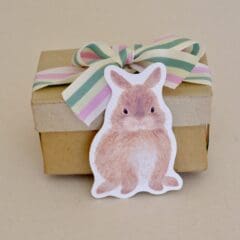 Mini Carte Lapin de Printemps
