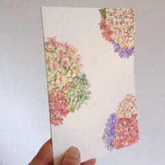 Carte Grappes d'Hortensias