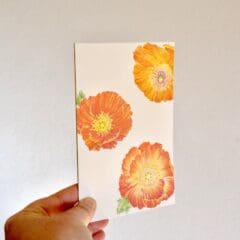 Carte Coquelicots Flamboyants
