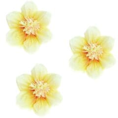 Kit DIY - Jonquilles en Papier de Soie