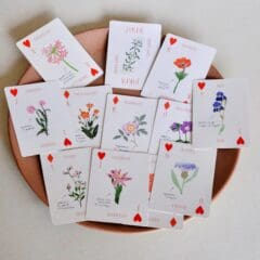 Jeu de 52 cartes - Les Fleurs - Zoé de las Cases