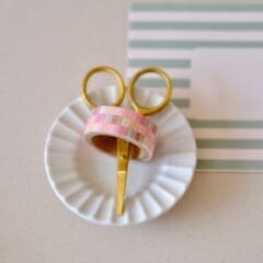 Masking Tape Check Nude