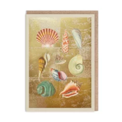 Carte Gold - Collection de Coquillages