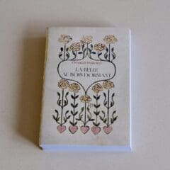 Carnet Livre Gold XS - La Belle au Bois Dormant