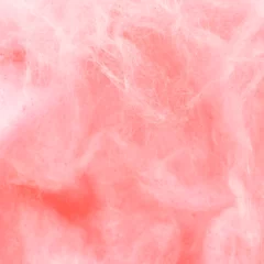 Barbapapa Flossie Shirley Temple