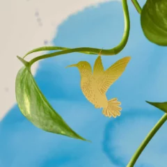 Bijou de Plante Colibri