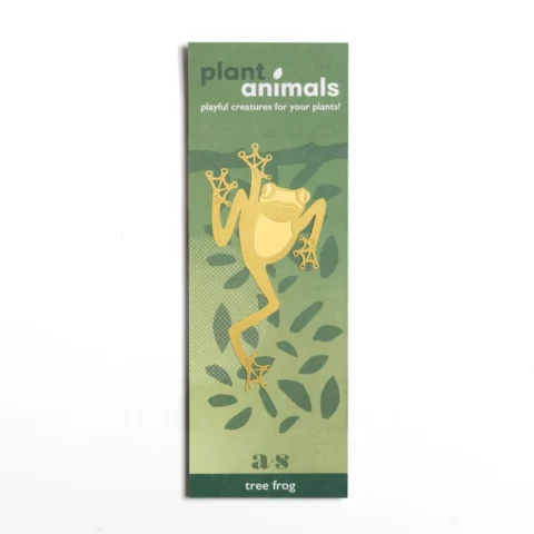 Decoration pour plante en forme de grenouille