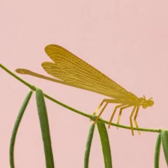 Bijou de Plante Libellule