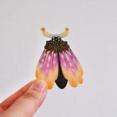 Sticker Horn Moth