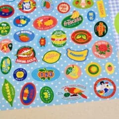 Stickers Journaling Ariane Butto - Etiquettes De fruits